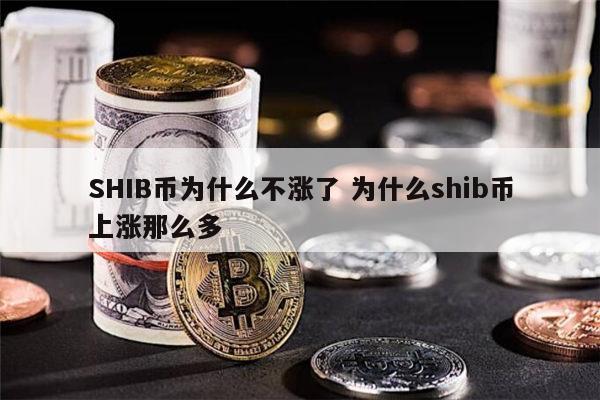 SHIB币为什么不涨了 为什么shib币上涨那么多 第1张